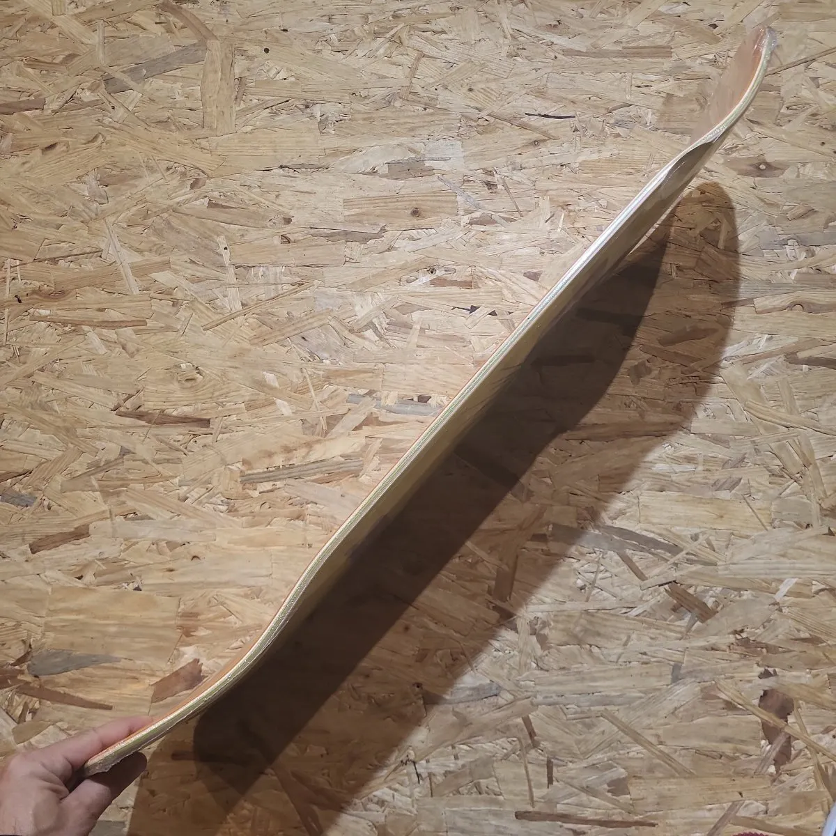 Dogtown Bigger Boy Shaped 9.5" Deck