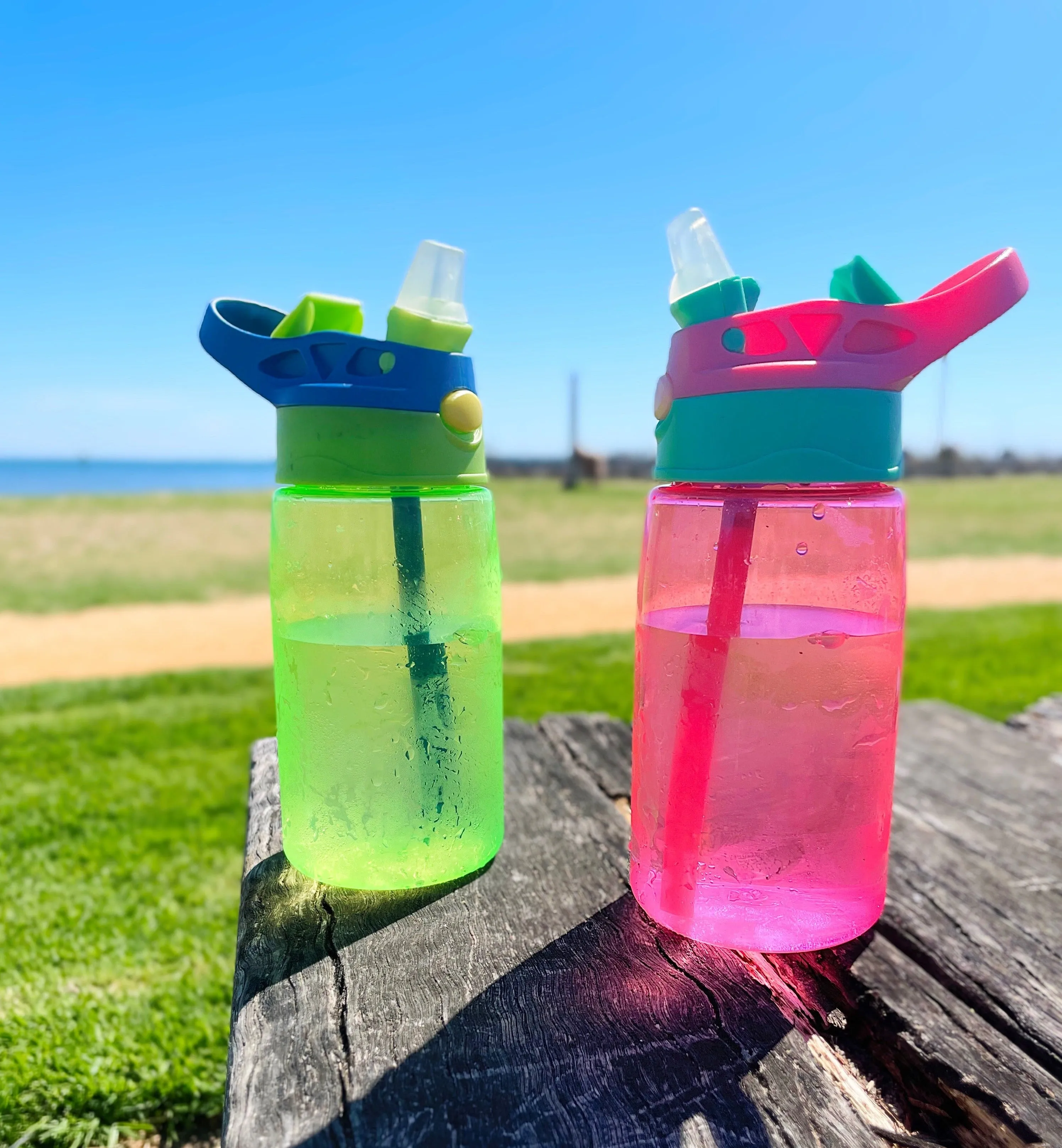 Drink Bottle - Various Colours