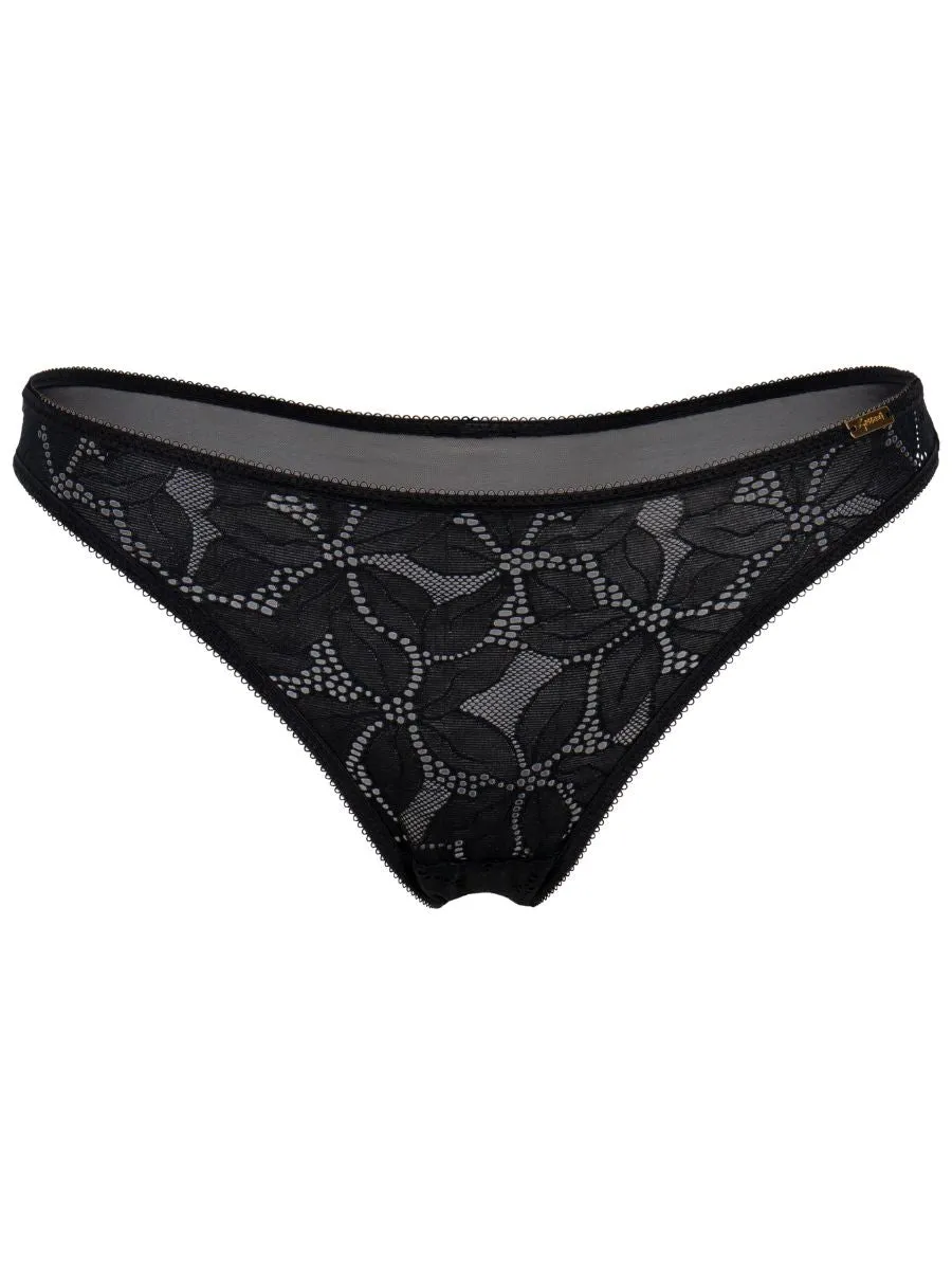 Glossies Lotus Brief
