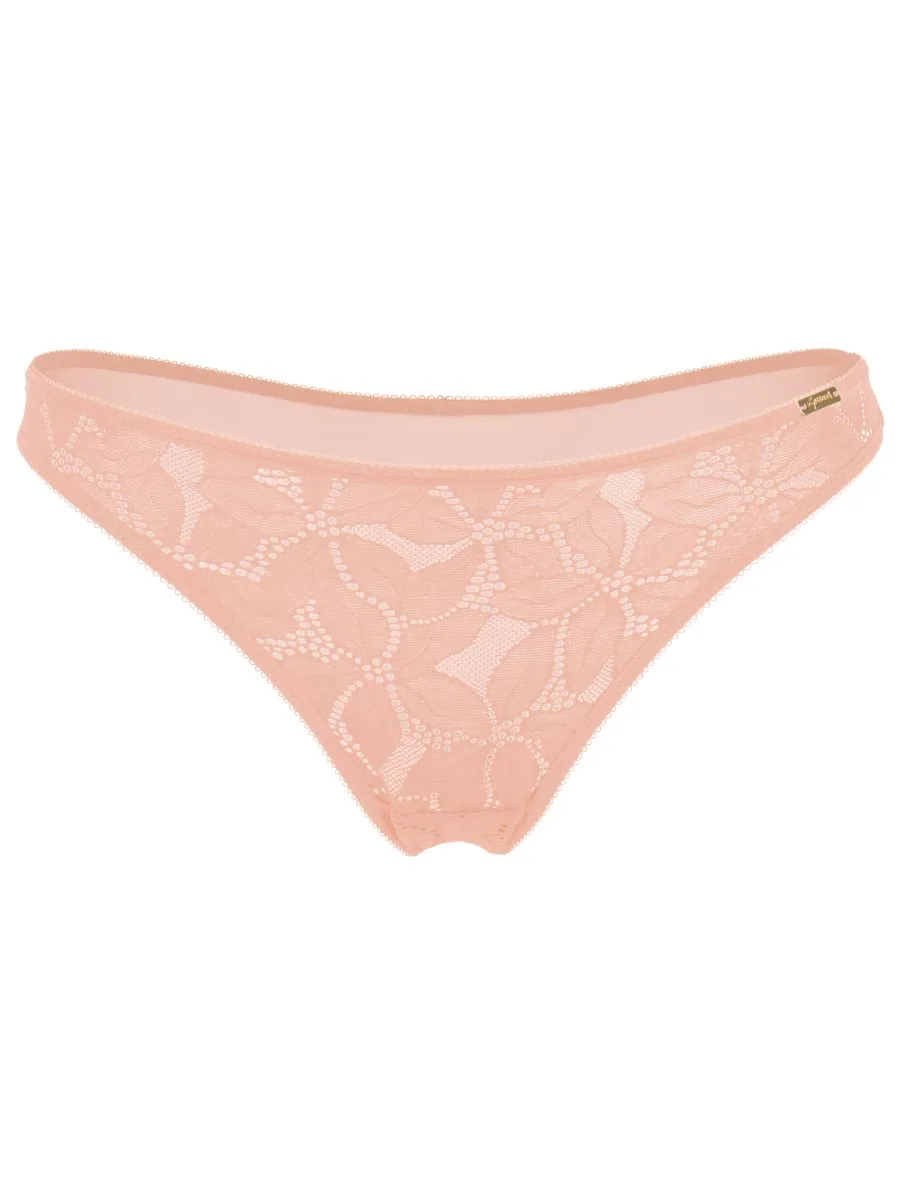 Glossies Lotus Brief