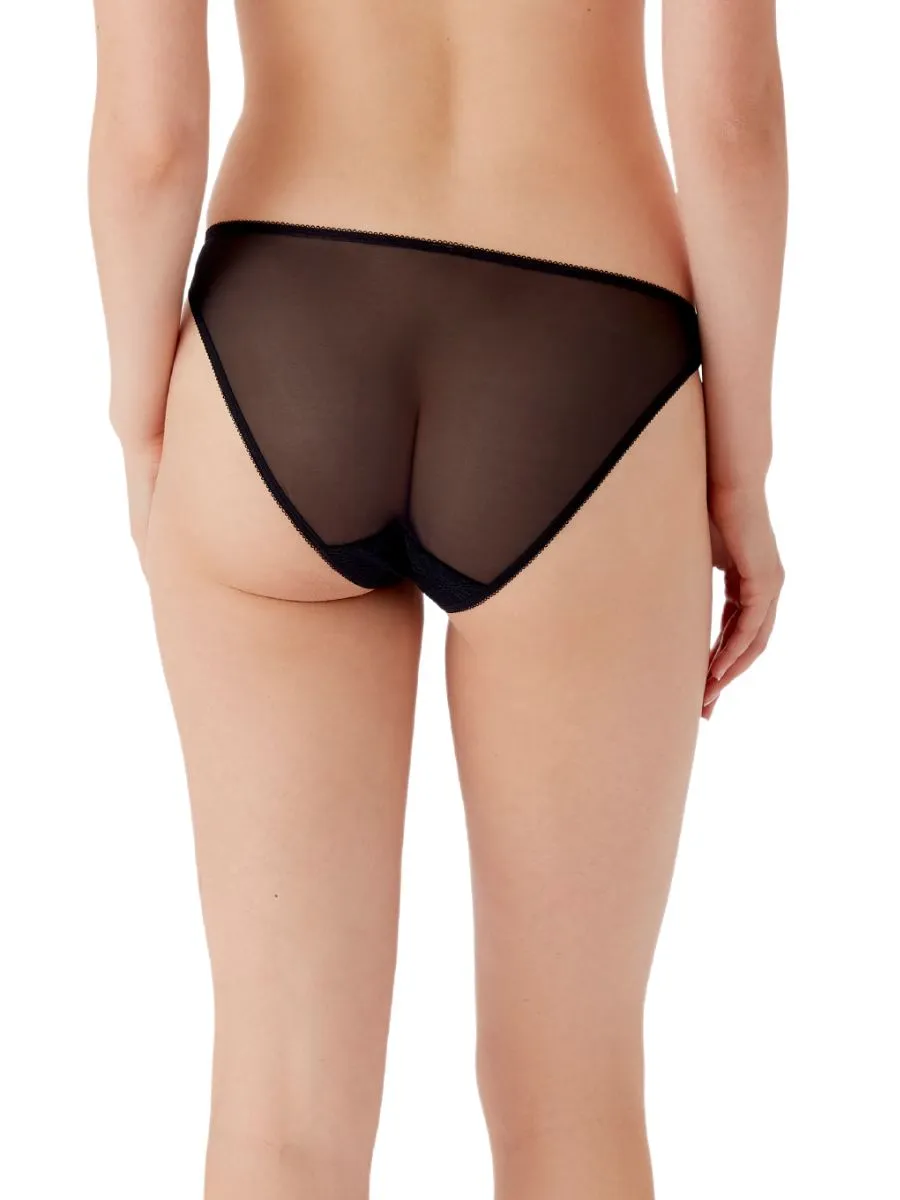 Glossies Lotus Brief