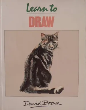 LEARN TO DRAW DAVID BROWN