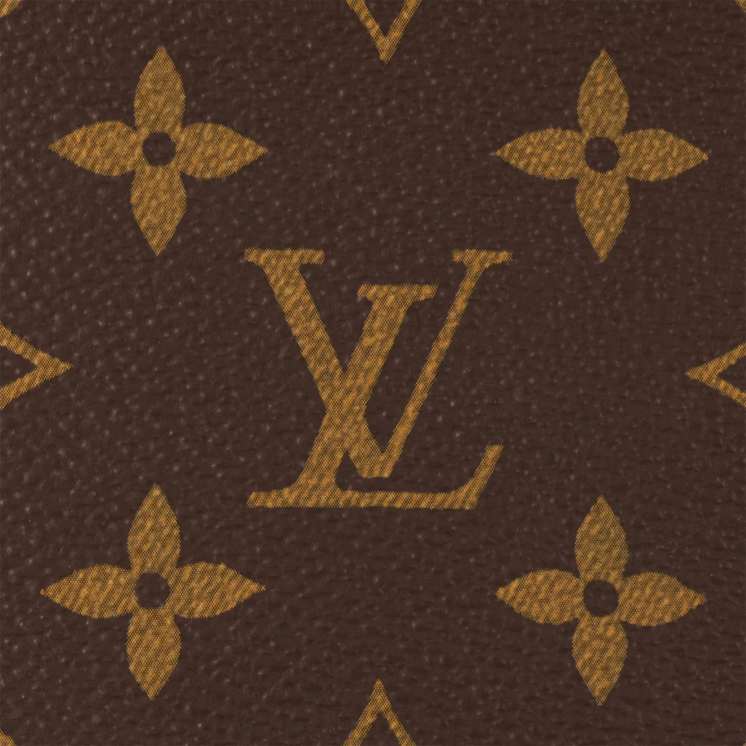 Wallet on Chain Ivy
